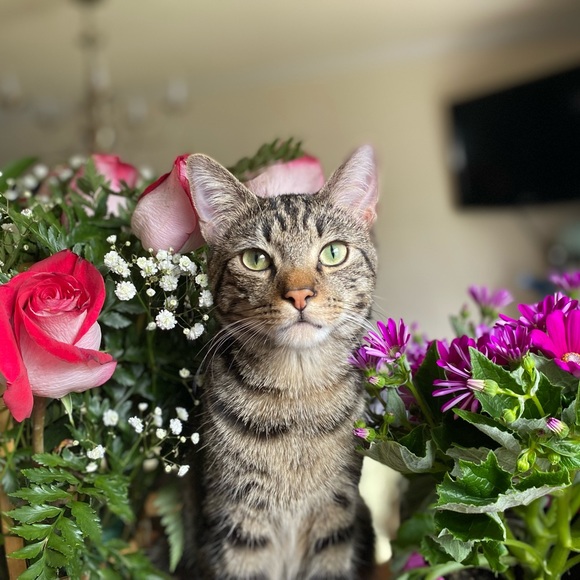 Meet your Posher, Karina - Picture 1 of 5